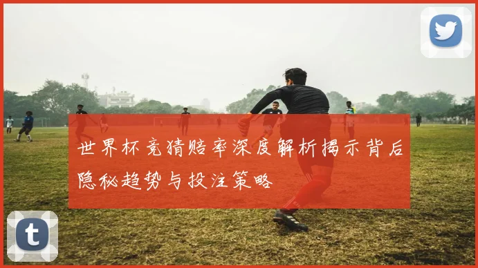 世界杯竞猜赔率深度解析揭示背后隐秘趋势与投注策略