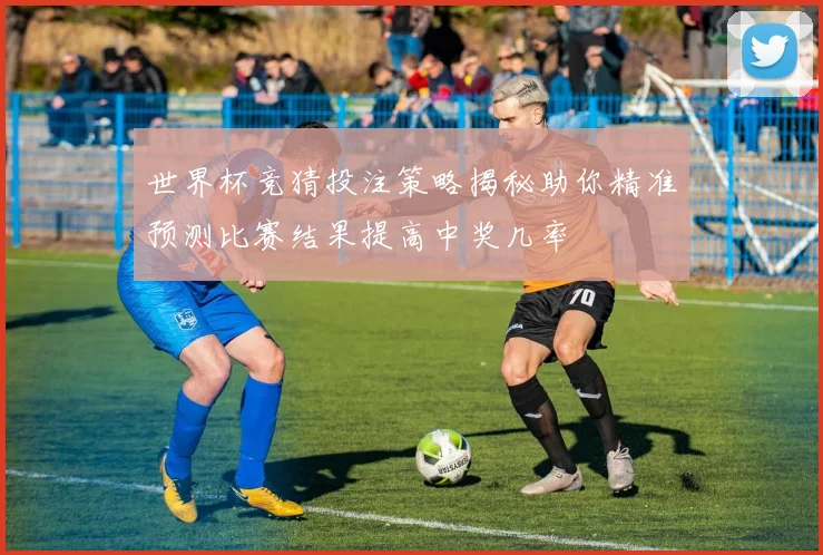 世界杯竞猜投注策略揭秘助你精准预测比赛结果提高中奖几率