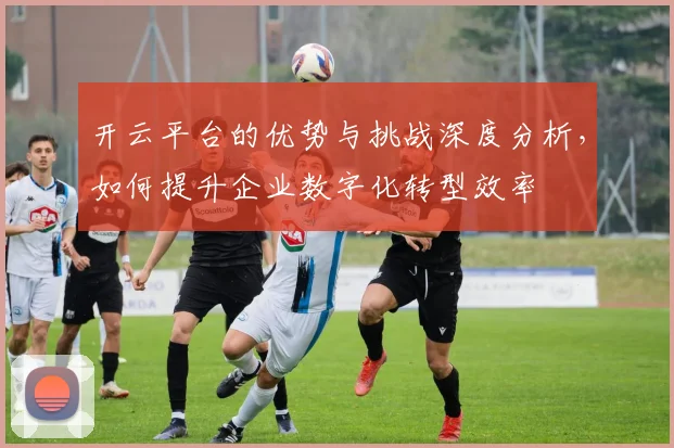 开云平台的优势与挑战深度分析，如何提升企业数字化转型效率